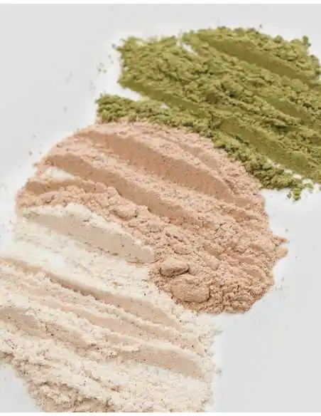 Applikatorpinsel