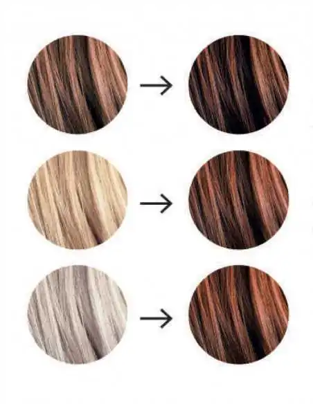 Colorazione vegetale Nocciola — dettaglio prodotto — Tresse Paris