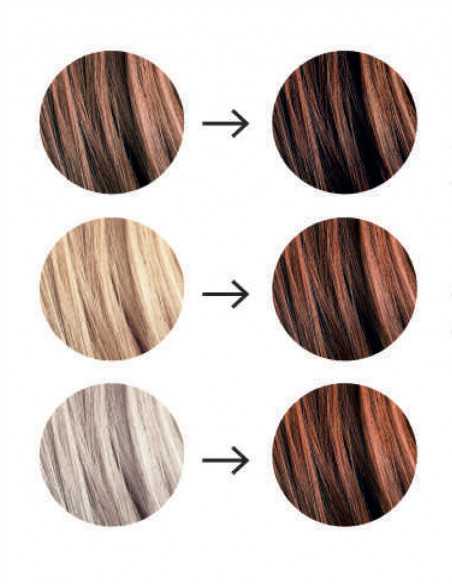 Organic hair color Rich Hazelnut