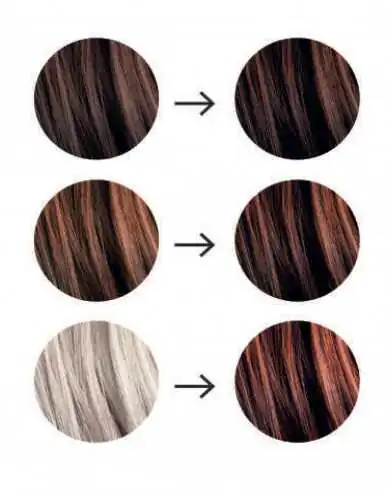Tresse Paris Coloration végétale Chatain profond