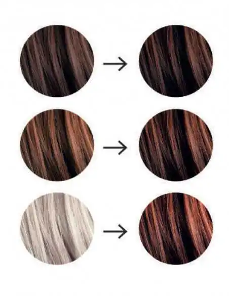 Tresse Paris Coloration végétale Chatain profond