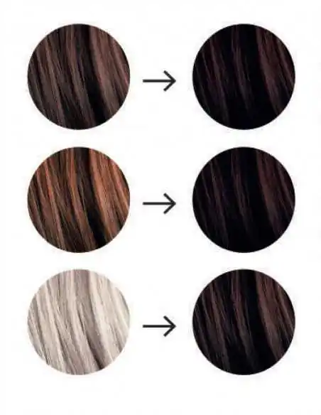 Pflanzliche Coloration Espresso — vorher nachher graues Haar bedeckt — Tresse Paris