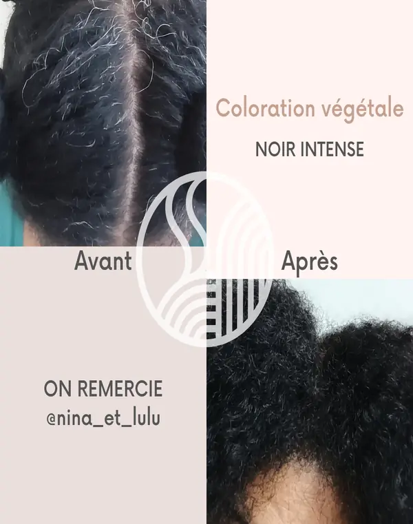 Coloration végétale noir intense sur cheveux noir - Tresse Paris