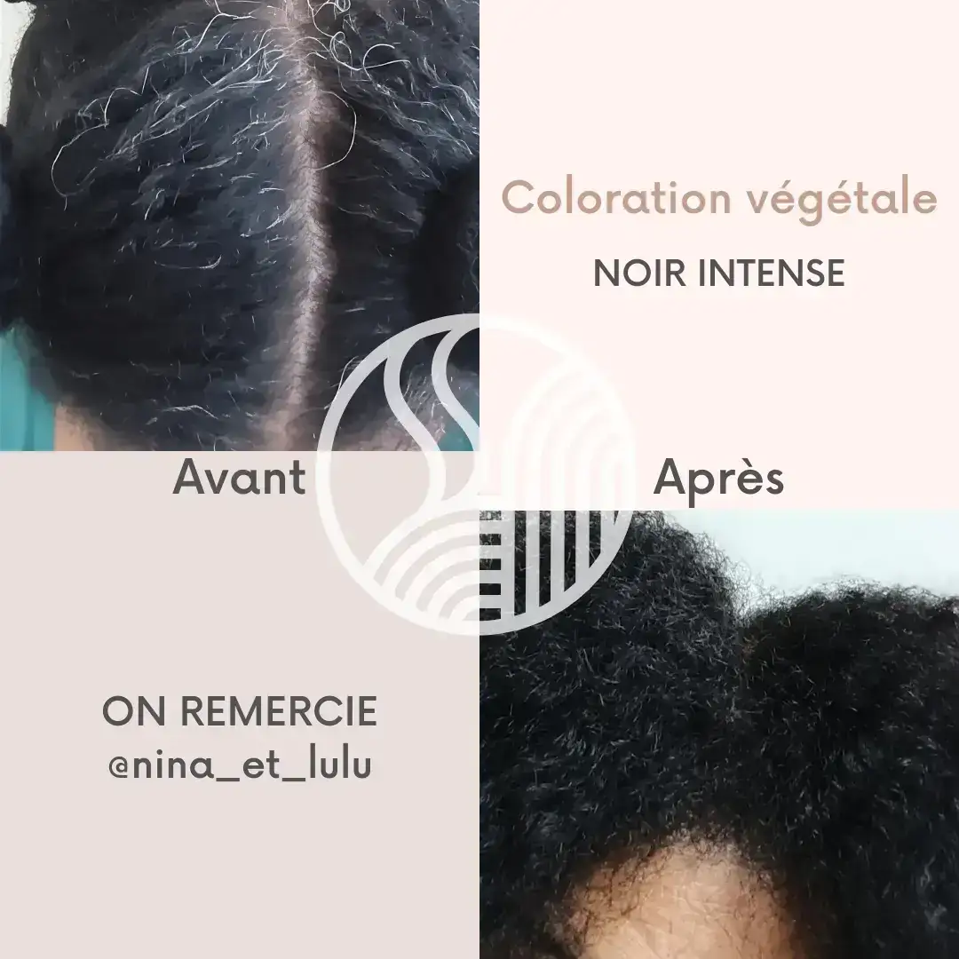 Avant après coloration végétale noir intense Tresse Paris