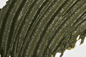 Pourquoi certaines colorations végétales donnent un reflet vert